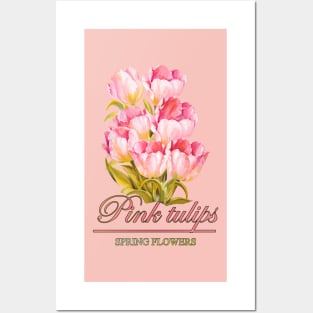 Pink tulips - a bouquet of spring flowers Posters and Art